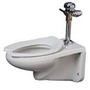 Elongated Siphon Jet Wall Mount Flush Vale Toilet Bowl in White