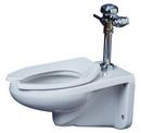 PROFLO&reg; White Elongated Wall Mount Toilet Bowl 