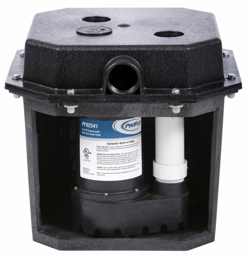 PROFLO® 10 ft. Remote Drain Pump System 