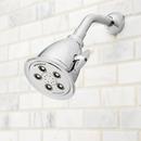 Speakman Polished Chrome Multi Function Intense, Massage and Combination Showerhead 