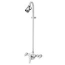 Two Handle Single Function Shower Faucet in Polished Chrome