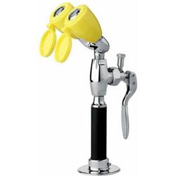 Counter Mounted Combination Eyewash & Drench Hose, 2.69 gpm, 3.5 lbs