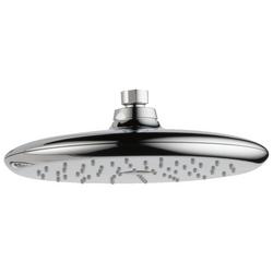 Single Function Showerhead in Chrome