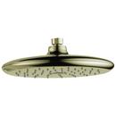 Single Function Full Showerhead in Brilliance Polished Brass