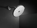 Delta Faucet Venetian&reg; Bronze Single Function Full Body Showerhead 