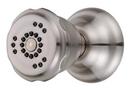 1.5 gpm 2-Setting Wall Mount Body Spray in Brushed Nickel