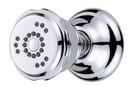 1.5 gpm 2-Setting Wall Mount Body Spray in Polished Chrome