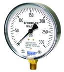 4 x 1/4 in. NPT 300 psi Brass and Plastic Pressure Gauge