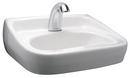 21-1/2 in. Wall Mount or Pedestal Rectangular Vitreous China Bathroom Sink in White