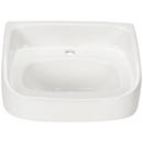 20 in. Wall Mount or Pedestal Rectangular Vitreous China Bathroom Sink in White