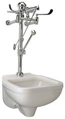 Zurn White 1-1/2 in. Wall Mount Service Sink 