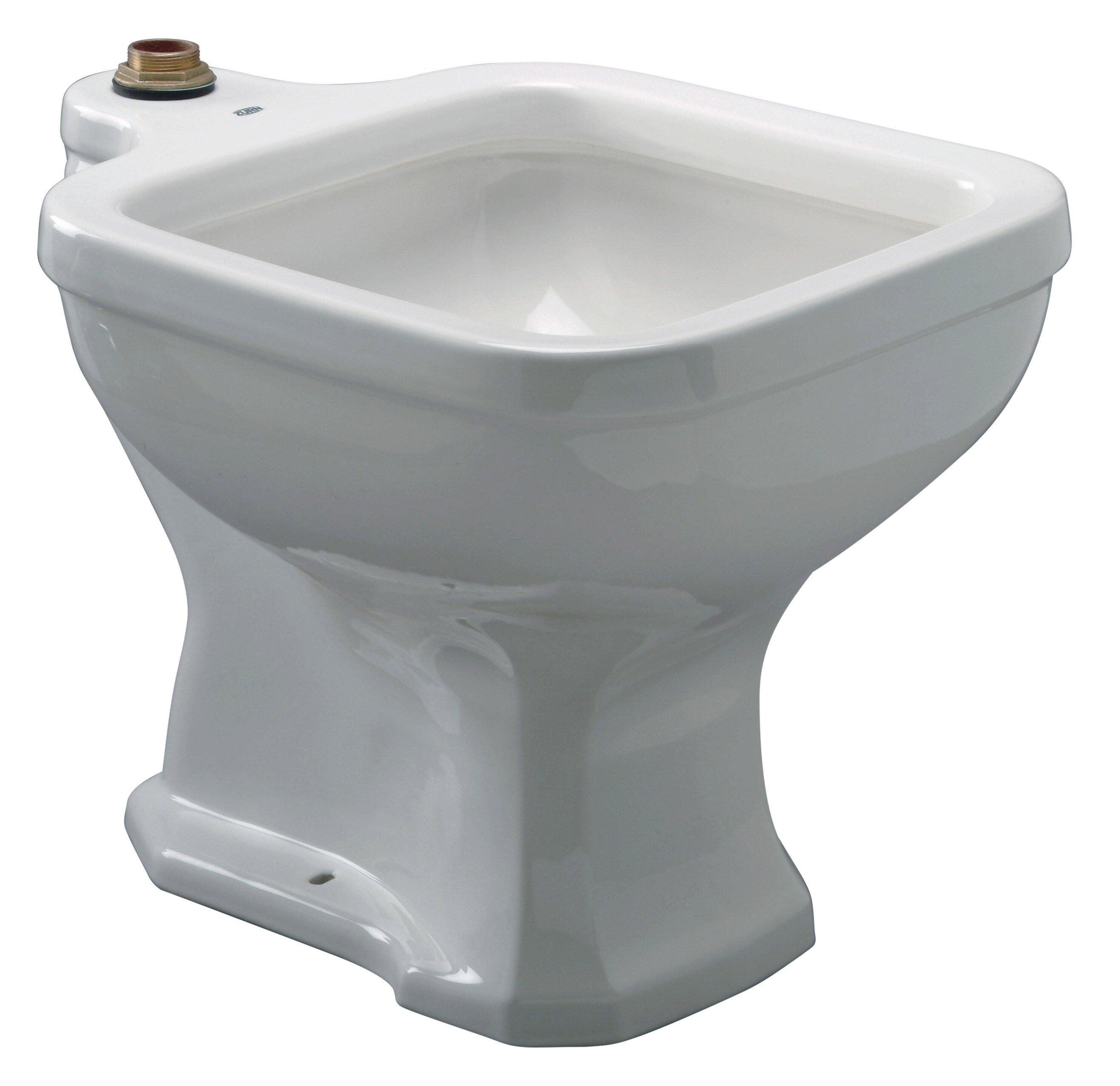 Zurn White Stainless Steel Floor Mount Service Sink 