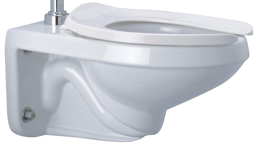 Zurn White 1.1 gpf Elongated Wall Mount Toilet 