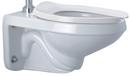 Zurn White 1.1 gpf Elongated Wall Mount Toilet 
