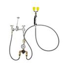 Speakman Rough Chrome Plated Combination Service Sink Faucet and Fixed Mount Eyewash with SE-370 Thermostatic Mixing Valve, 14.4lbs 
