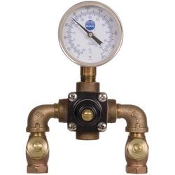 1/2 in. Thermostat Mixing Valve