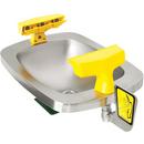 Speakman Stainless Steel Wall-Mounted Rectangular Eye/Face Wash Stainless Steel Bowl, 15lbs 
