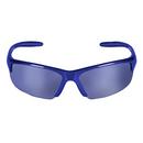 Kimberly Clark Blue Lens Safety Glasses 