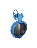 30 in. Ductile Iron Buna-N Gear Operator Handle Butterfly Valve