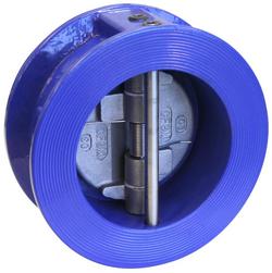 2-1/2 in. Cast Iron Wafer Style Check Valve
