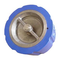 2-1/2 in. Cast Iron Silent Wafer Style Check Valve