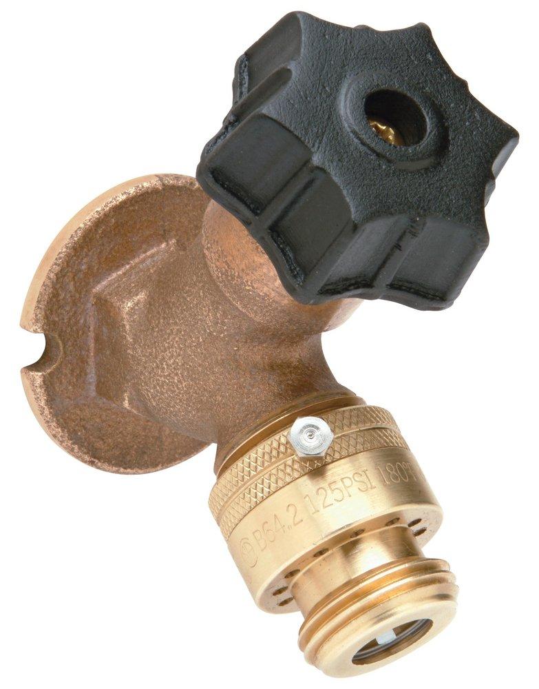 Zurn Rough Chrome FPT Loose Key Wall Mount Faucet in Polished Chrome 