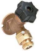 Zurn Rough Chrome FPT Loose Key Wall Mount Faucet in Polished Chrome 