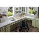 Elkay Lustrous Satin 23-1/2 x 18-1/4 in. No Hole Stainless Steel Single Bowl Undermount Kitchen Sink 