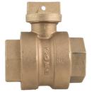 2 in. FIPT Brass Ball Curb Valve