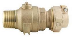 2 in. CC x Pack Joint Brass Ball Corp Valve