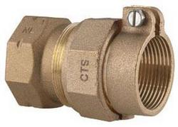 2 in. FIPS x Pack Joint Brass Coupling