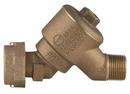 3/4 in. Meter Swivel Nut x MIPS Brass Double Check Valve