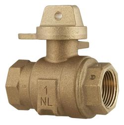 1 in. FIPT Brass Ball Curb Valve