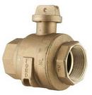 Ford Meter Box FIPT Brass Ball Curb Valve 