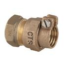 3/4 x 1 in. FIPT x CTS Brass Reducing Coupling
