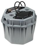 Liberty Pumps 2 in. 115V 10 ft. Plastic Sump Pump 