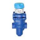 1/2 in. Direct Pressure Regulator Valve