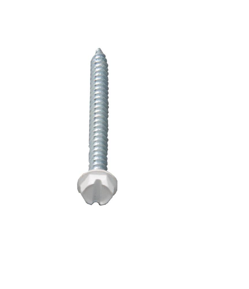 PROSELECT® White 8 mm Zinc Plated Hex Head Self-Drilling & Tapping Screw (Pack of 250) 