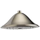 Brizo Brushed Nickel Single Function Full Showerhead 