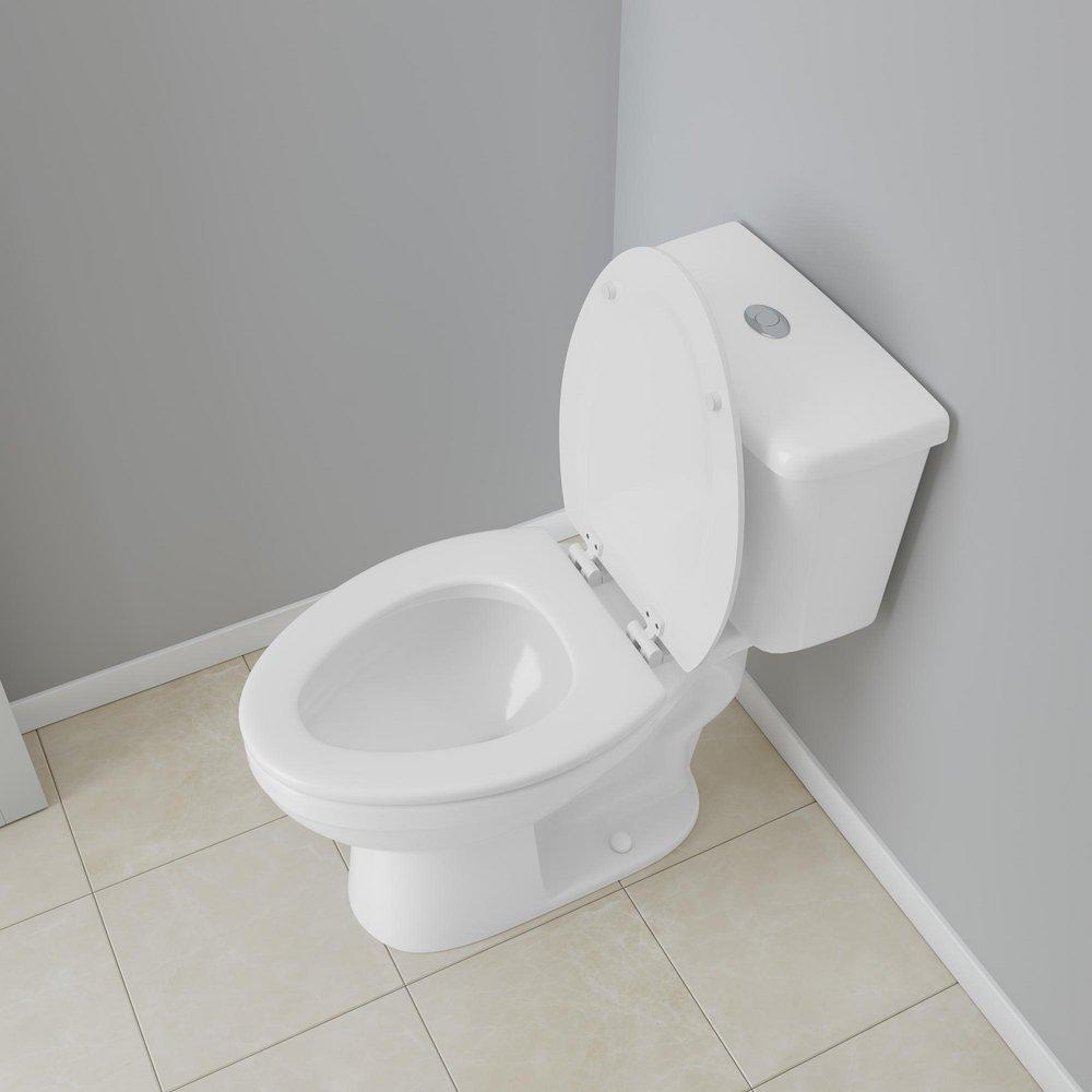 Jones Stephens White Elongated Closed Front with Cover Toilet 