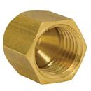 1/4 Brass Floor Cap 