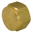 1/8 Pipe Cap YB108 2 