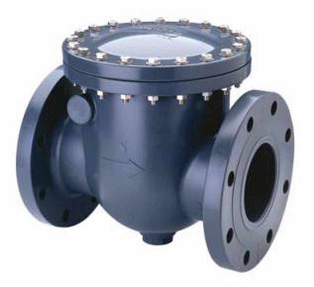 White Plastic Socket Weld Swing Check Valve 