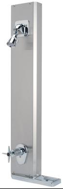 Zurn Chrome Plated Single Handle Single Function Shower Faucet 