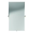 24 x 37 in. Glass and Brass Large Frameless Mirror