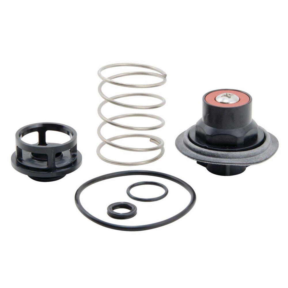 Watts Valve Repair Kit 