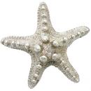 Linkasink Satin Nickel Stardust Fish Drain 