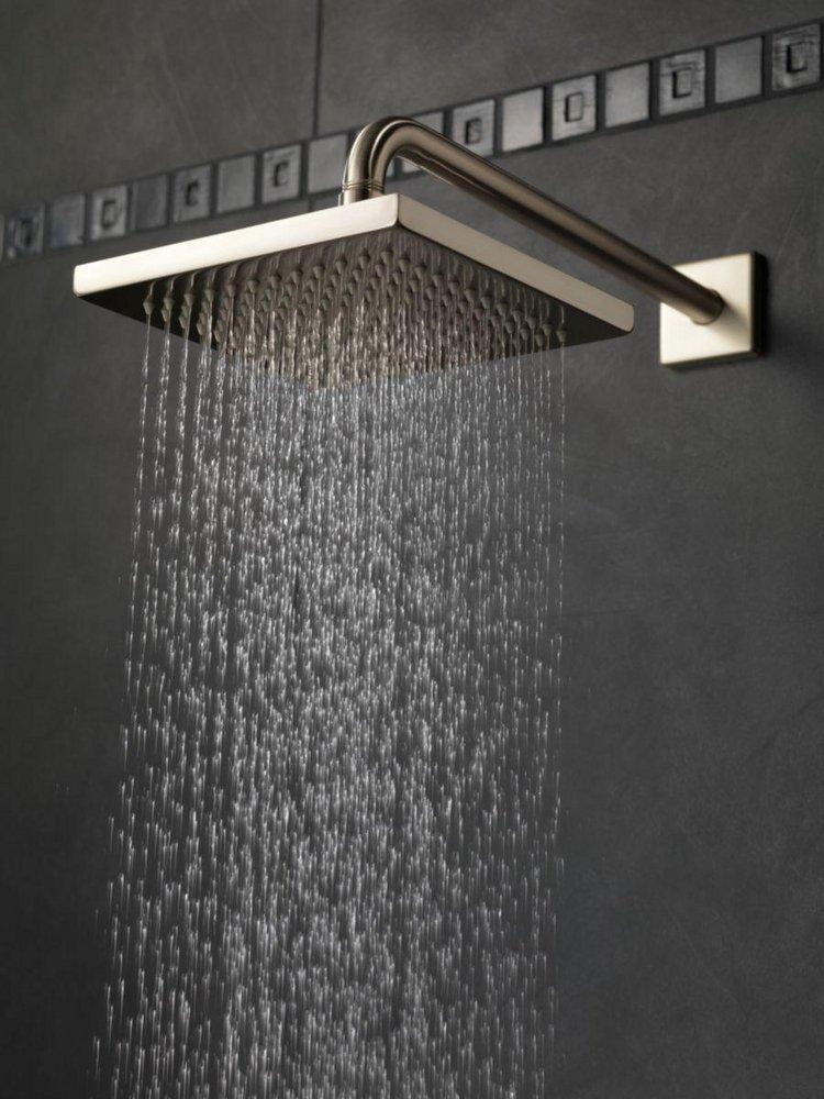 Delta Faucet Chrome Single Function Full Body Showerhead 