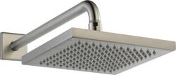 Single Function Showerhead in Brilliance&reg; Stainless