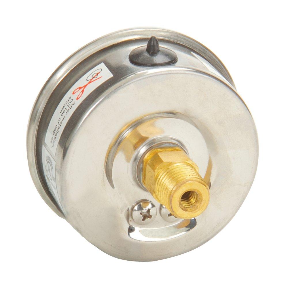 H.O. Trerice Stainless Steel 2-1/2 x 1/4 in. Liquid Filled Stainless Steel Brass Center Back Mount Pressure Gauge 